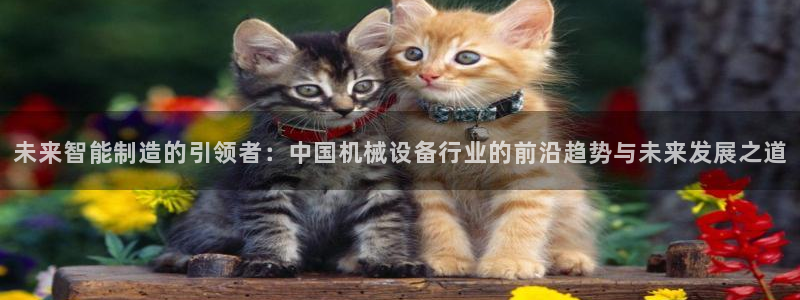 万事娱乐主管q